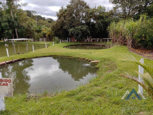 Imagem 29 de 30 de Chácara À Venda, 360000 M² Por R$ 3.400.000,00 - Fazenda Nata - Londrina/pr - Ch0189