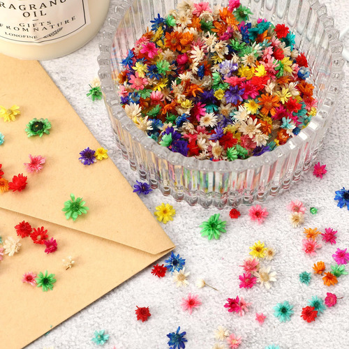 Flores Secas Pequeñas 420 Piezas Para Manualidades Y Uñas