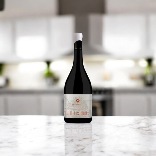 Vino Tinto El Porvenir Alto Los Cuises Malbec Botella 750cc