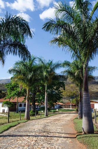 Imagem 2 de 2 de Ótima Fazenda Dupla Aptidão Para Venda Em São Joao Batista Do Gloria-mg, Com 239 Hectares, Linda Casa Sede, Rio, Cachoeira E Muitas Benfeitorias - Fa00287 - 69586837