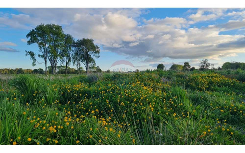 Hermosa Parcela En Condominio La Reserva Frutillar