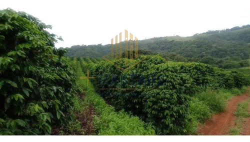 Imagem 6 de 15 de Fazenda Para Venda Em Ouro Fino, - - Fazenda 0_1-2221666