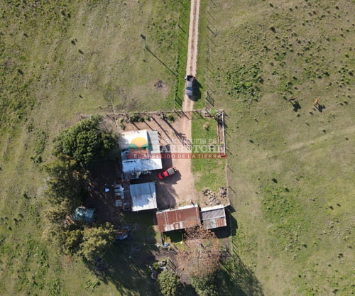 Imagen 2 de 21 de Chacra En Venta, 3 Has En Los Cerrillos, Casa Y Galones, Sobre Ruta!