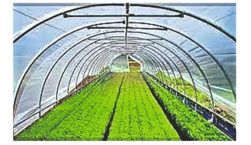 Imagen 3 de 7 de Nylon Invernaculo Agropecuario Uv - Ancho 4,20 Mts. Promo