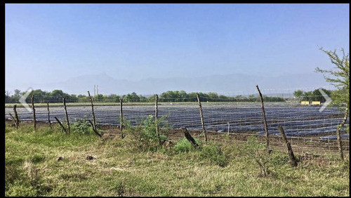 Terreno En Venta En Montemorelos