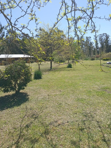 Imagen 4 de 21 de Complejo De Cabanas En Venta Miramar