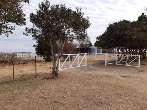 Imagen 21 de 23 de Campo En Venta De 102 Hectáreas Ubicado En General Deheza - Juárez Celman
