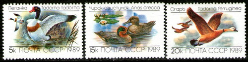 Rusia Serie Completa X 3 Sellos Nuevos Aves - Patos Año 1989