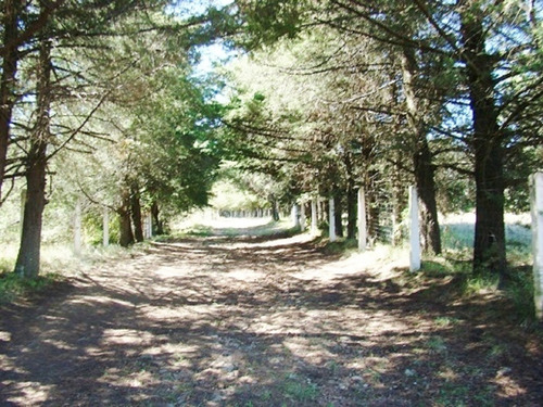 Imagen 10 de 14 de Excelente Rancho En Venta En Temascalcingo