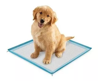 Pañal Piso Super Absorbentes Perros E. Gratis 60x60 (40 Un)