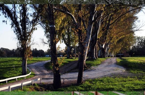 Imagen 5 de 19 de Lote En Venta En Club De Campo La Asunción - Vende O Vende