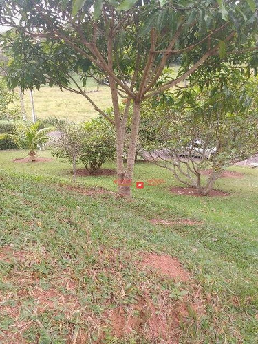 Chácara Com 3 Dormitórios À Venda, 3084 M² Por R$ 500.000,00 - Jardim Helena - São Paulo/sp - Ch0009
