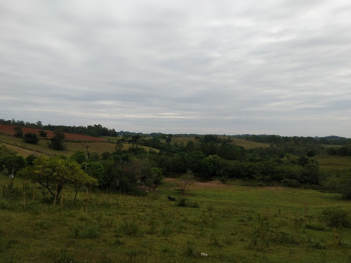 Chácara 9.740 M² - Vira Machado - Gravataí - Rs - 2307 - 34803010