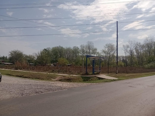 Imagen 6 de 6 de Se Vende Hectárea En Pilar, Por La Entrada De Casuarinas