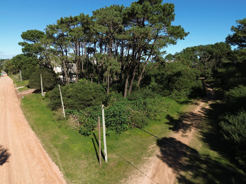 Terreno En Venta Para Construir Edificio En Punta Del Este (ref: Bpv-9909)