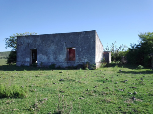 Campo De 110 Hectáreas, Con Arroyo, Buen Acceso