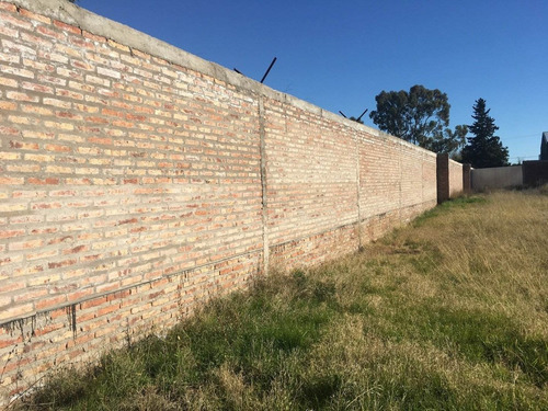 Imagen 4 de 21 de Galpón De 800 M2 Agustín Álvarez 4100 (sector Scania U$s 180.000)