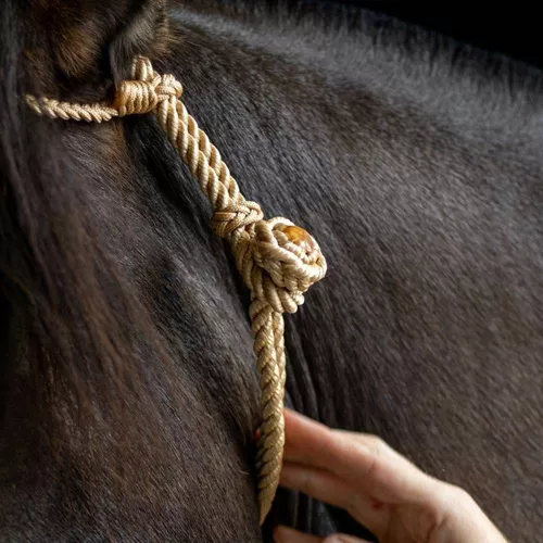 Buçal de Corda para cavalos