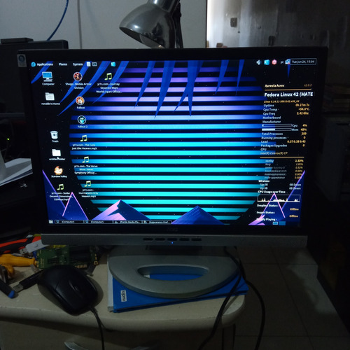 Monitor Lcd Aoc 19 Pol 912vwa - Leia Anuncio (Usado)