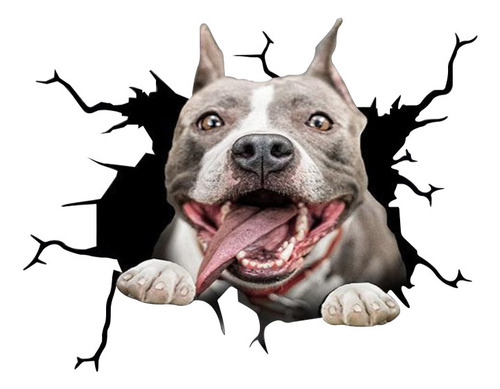Decoração De Adesivos Para Animais De Estimação J Personalit