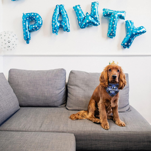 Urroma Juego De 3 Pañuelos Para Perro De Cumpleaños, Pajarit