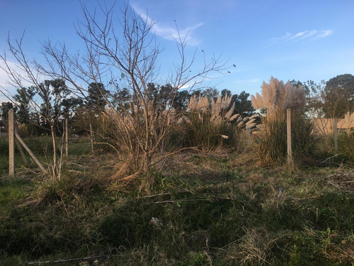 Imagen 1 de 3 de Terreno En Venta En Olmos, Lisandro ,ap.