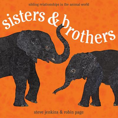 Libro Sisters And Brothers - Steve   Jenkins