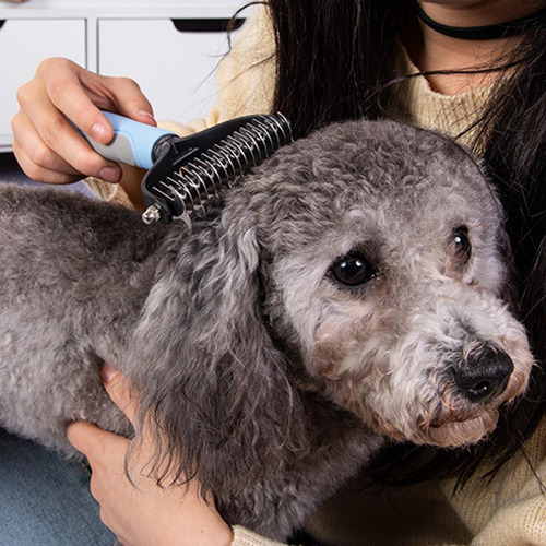 4 Cepillo Profesional De Aseo Para Mascotas Reduce El