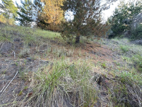 Parcela, 1 Hectárea, San Rosendo (167365)
