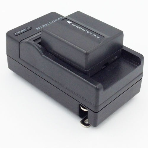 Cga-du07 Vw-vbd070 Batería Y Cargador Para Panasonic Vdr-d10