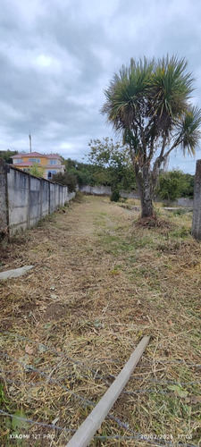 Terreno Urbano En Pelluco De Puerto Montt - Vista A La Bahía