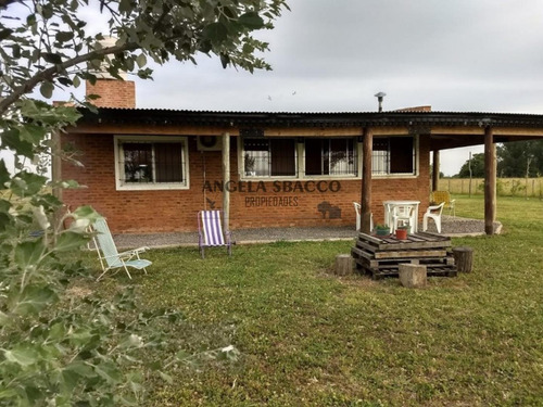 Imagen 2 de 30 de Campo En San Andres De Giles