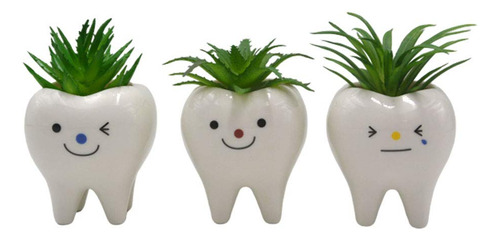 Paquete De 3 Mini Macetas Cerámica Para Suculentas Multicolor/surtido Nombre Del Diseño