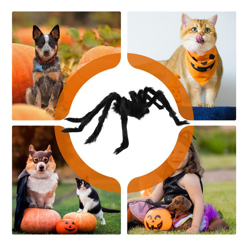 Disfraz De Araña Para Mascotas Disfraz De Araña Para Gatos R