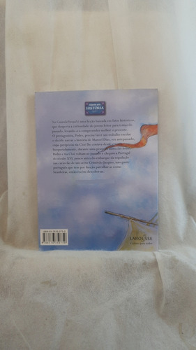 Livro Na Caravela Virtual - Vera Carvalho Assumpção - Editora Larousse (Usado)