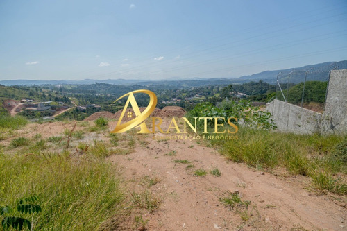 Imagem 3 de 7 de Terreno - Te00079 - 70830147