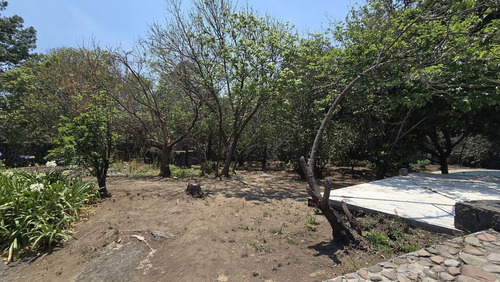 Terreno En Venta En Jardines Del Pedregal