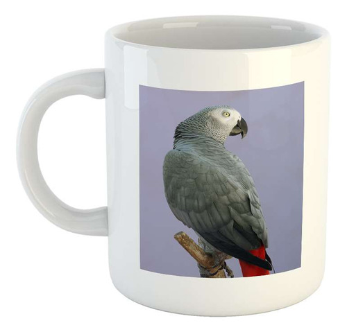 Taza Ceramica Aves 1 Loro Parlanchin De Colores