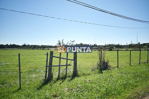 Imagen 11 de 19 de Chacra San Carlos Ruta 9