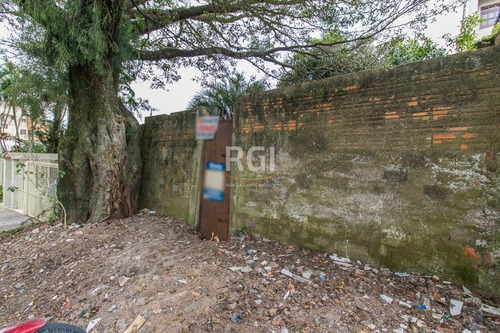 Terreno Em Vila Jardim - El50874118