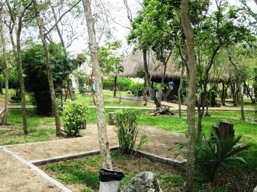 Imagen 6 de 30 de Se Renta Departamento En Lolkatun Sin Muebles Playa Del Carmen P3723