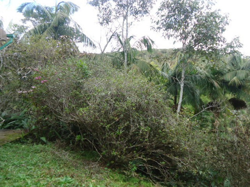 Imagem 12 de 14 de Chácara Para Moradia Ou Lazer Ref 1293