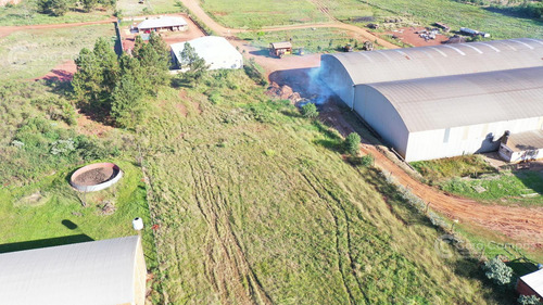 Se Vende Terreno De 2 Ha En Gobernador Virasoro, Corrientes