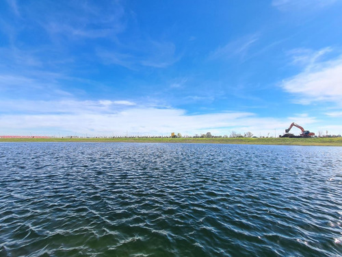 Imagen 3 de 17 de Venta Lote Al Agua - Carpinchos - Nordelta