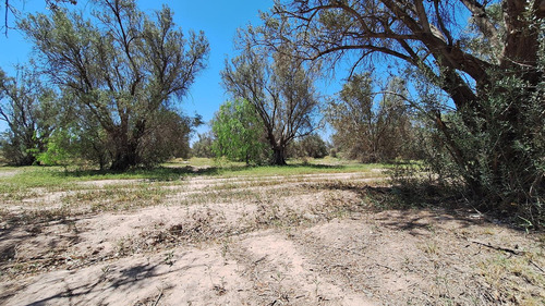 Finca-terreno En Venta En Guaymallén Pozo Surgente De Agua Apta Para Consumo