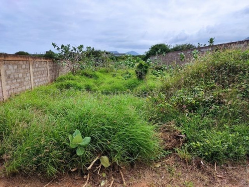 Imagen 5 de 5 de Venta Terreno Margarita. Pocos Metros De Playa El Agua. Xiomara Manrique.