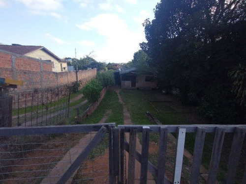 Imagem 4 de 5 de Terreno À Venda Na Estrada Das Três Meninas, Vila Nova, Porto Alegre - Rs - Liv-16239