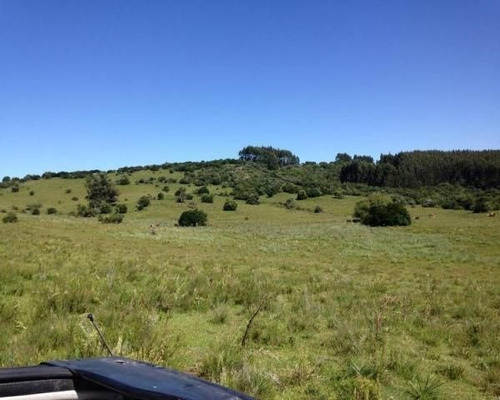 Imagen 5 de 15 de Quinta En Venta En Garzon