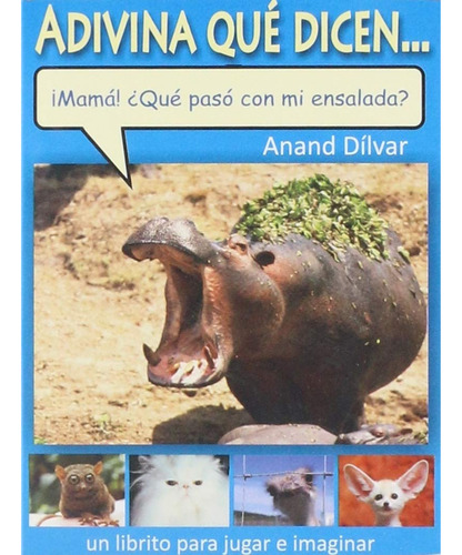 Adivina Que Dicen