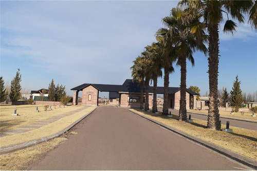 Imagen 5 de 30 de Barrio Viñas Del Sur Lotes, A Medida, Pre-venta